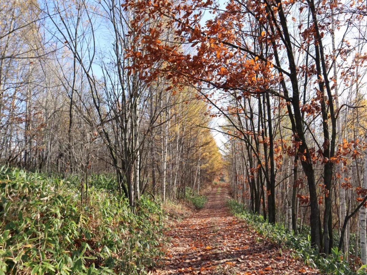 Willa Maple Farm Asahikawa Zewnętrze zdjęcie